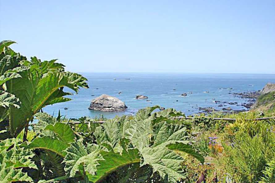 Turtle Rocks Oceanfront Inn