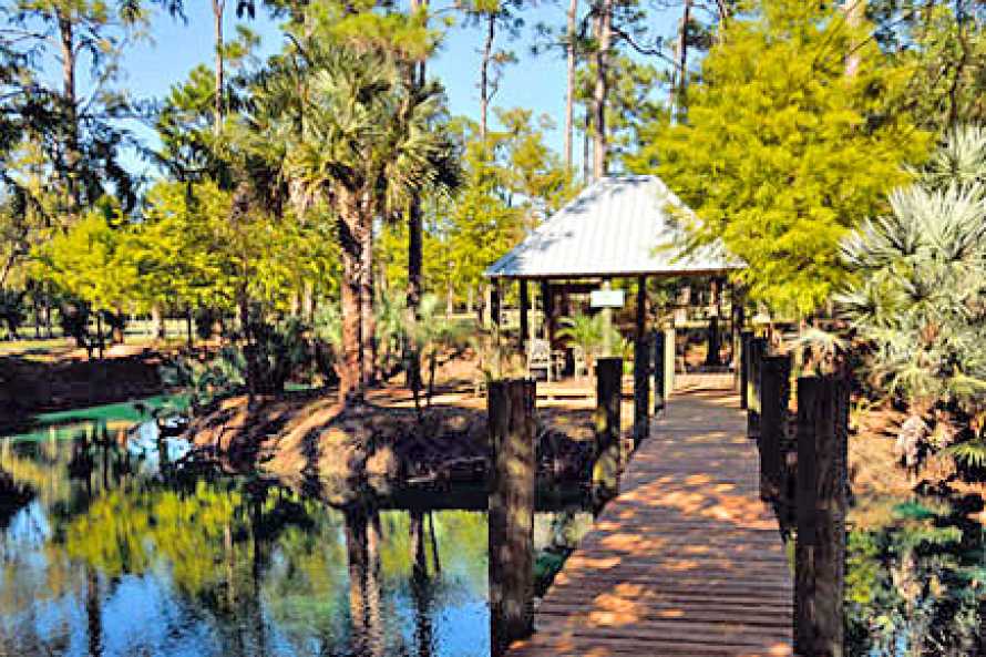 Southern Palm Bed and Breakfast