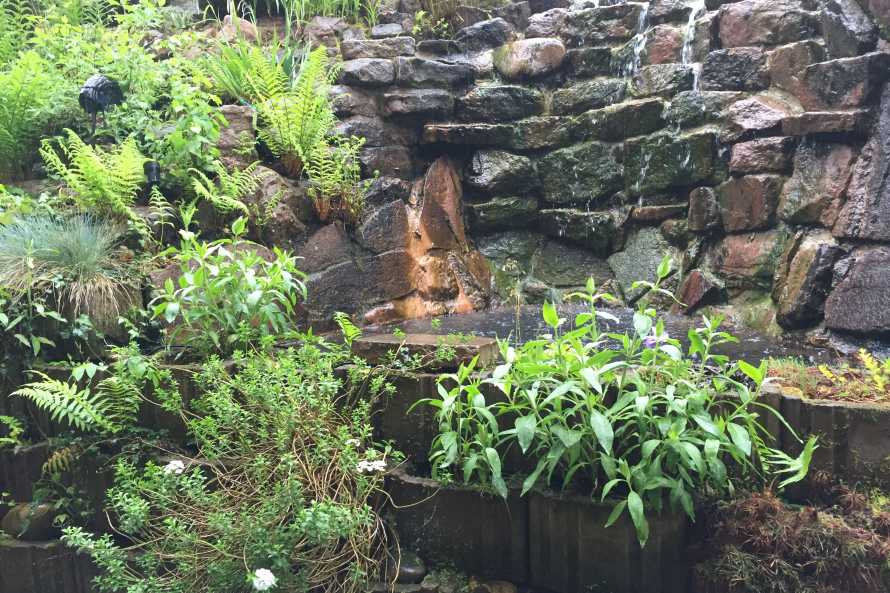 Petite cascade dans le jardin