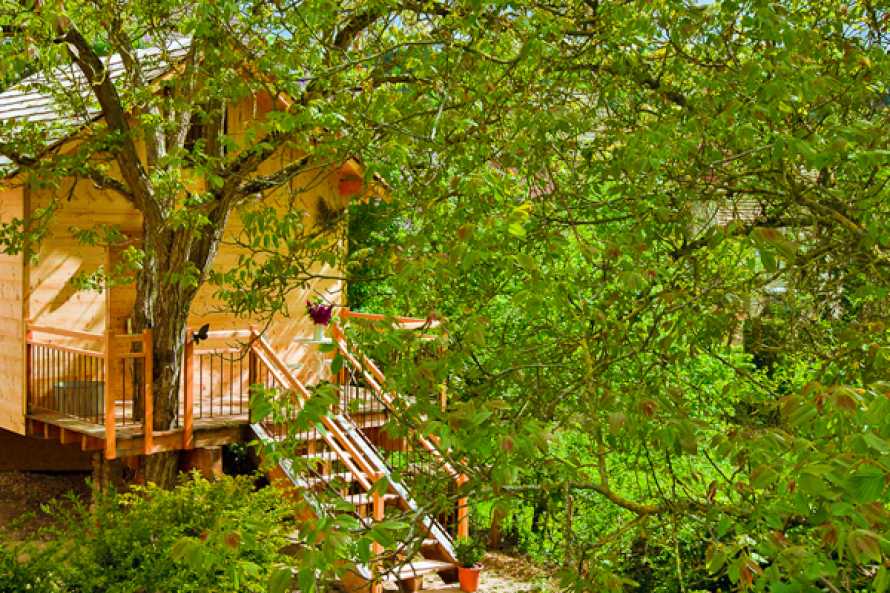 Ferme de beauté au coeur d'un arbre