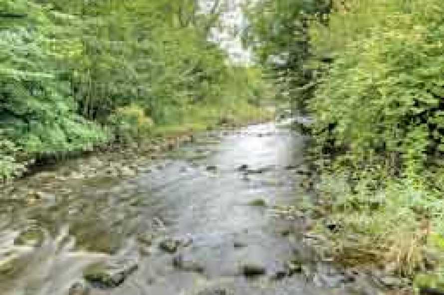 Low Mill Guest House