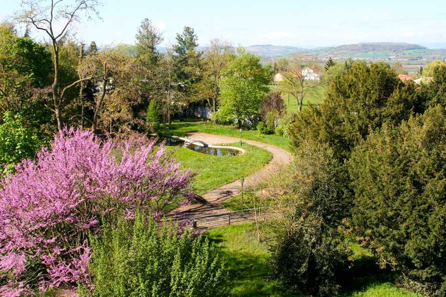 Parc arboré à l'anglaise