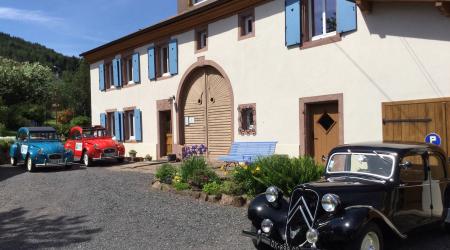 BLUETS ET BRIMBELLES BLUETS ET BRIMBELLES