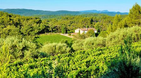 Domaine du Clos d'Alari Domaine du Clos d'Alari