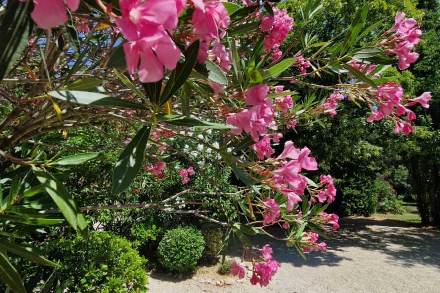 Mas Les Fleurs d'Hilaire