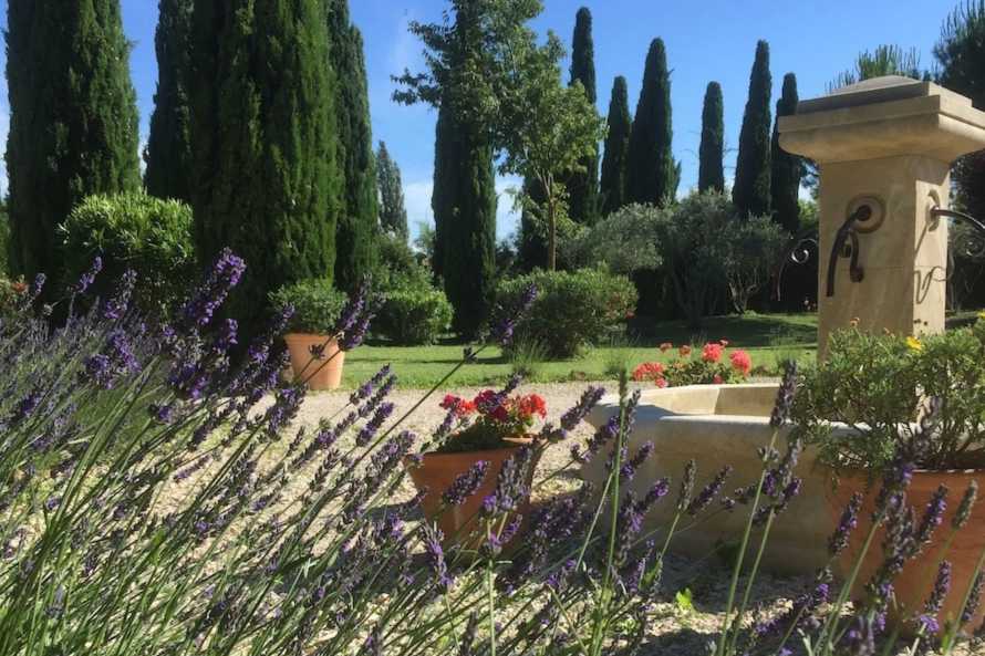 Lavender and Fountain