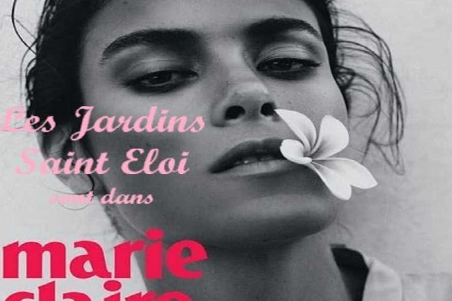 Les Incontournables of the MARIE CLAIRE Magazine