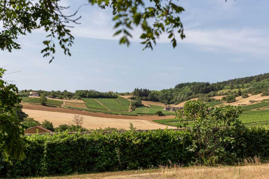 Château Le Grand Tinailler