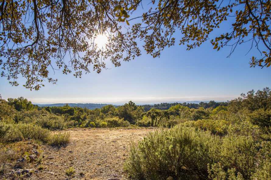 View from Le Cabanon