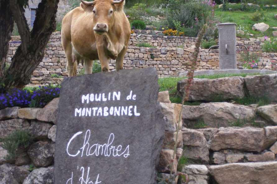 Moulin De Montabonnel