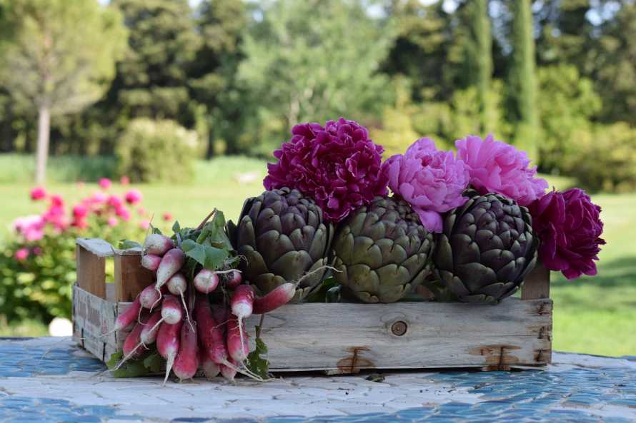 La Bastide des Amouriers in Provence