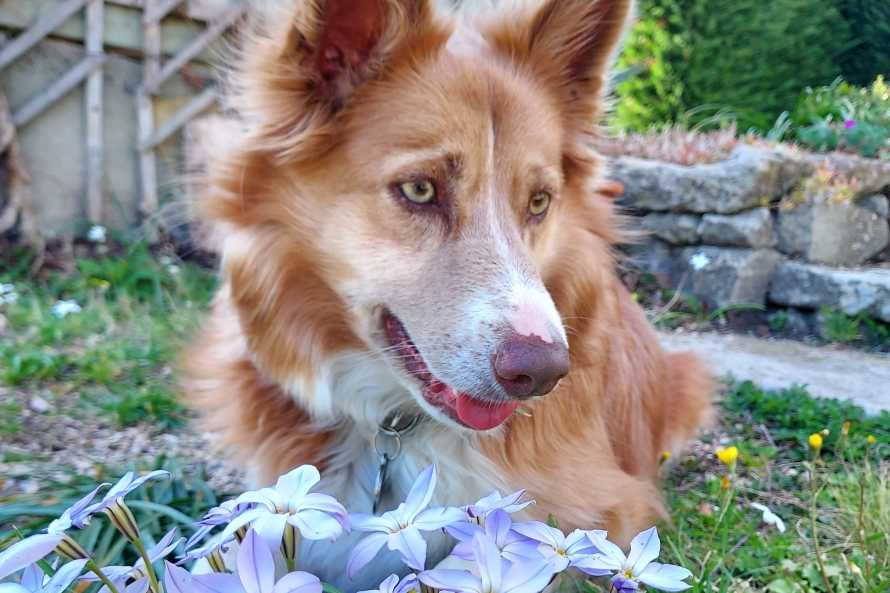 La Bastide des Amouriers