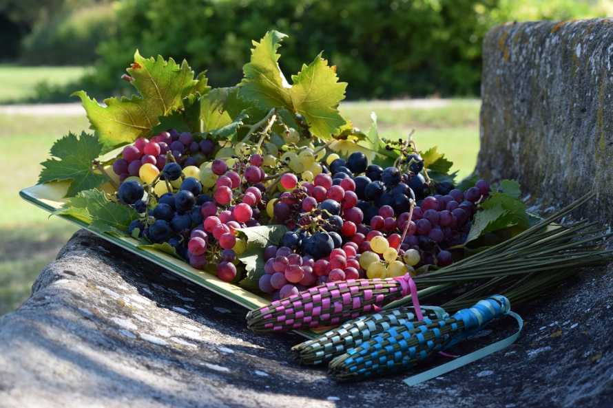 La Bastide des Amouriers en Provence