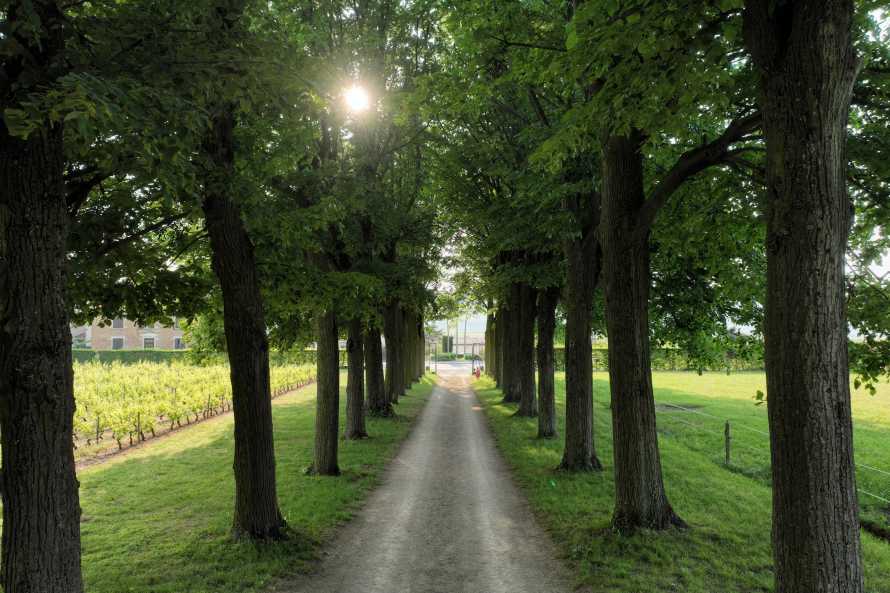 Domaine de Montclair