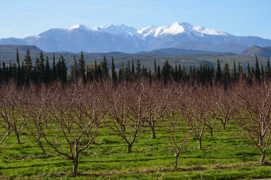 MAS DU DOMAINE DE MONTCALM