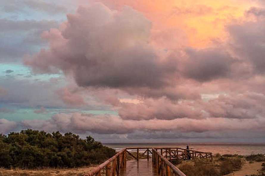 MEERLUST - LAS BALLENAS