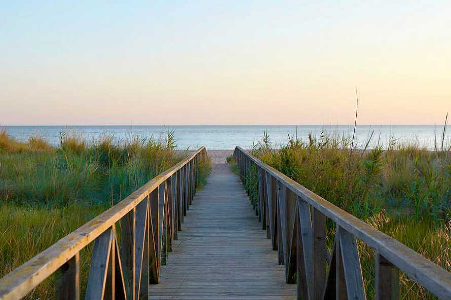 MEERLUST - LAS BALLENAS