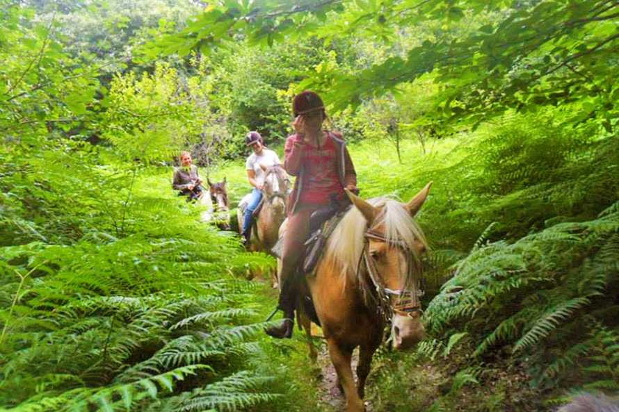 Randonnée à cheval