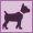 Pet Friendly Pet Friendly