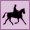 Horse riding on-site Horse riding on-site