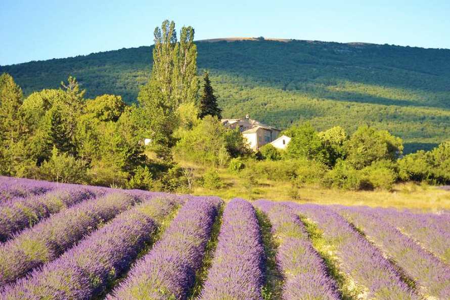 chambres d'h&ocirc;tes La Honas