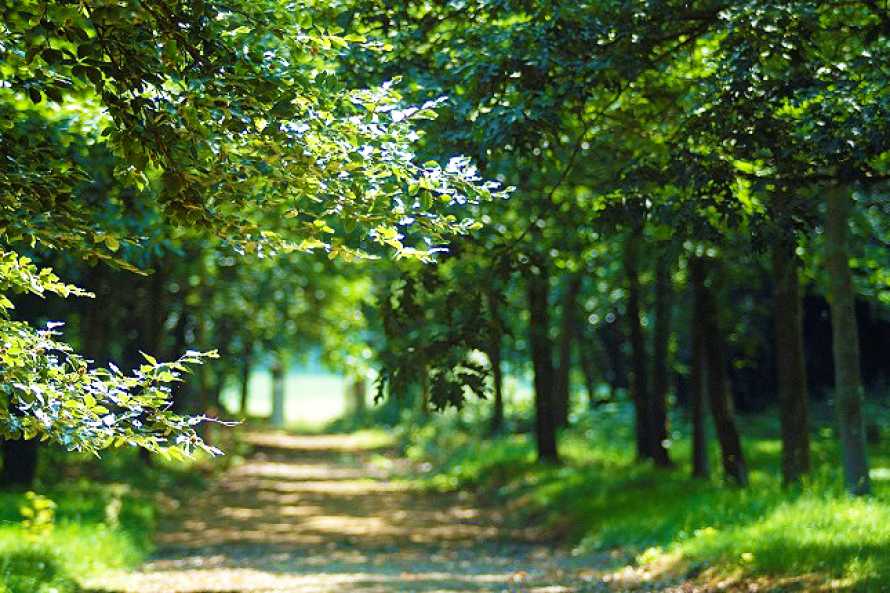 Manoir de la Villeneuve