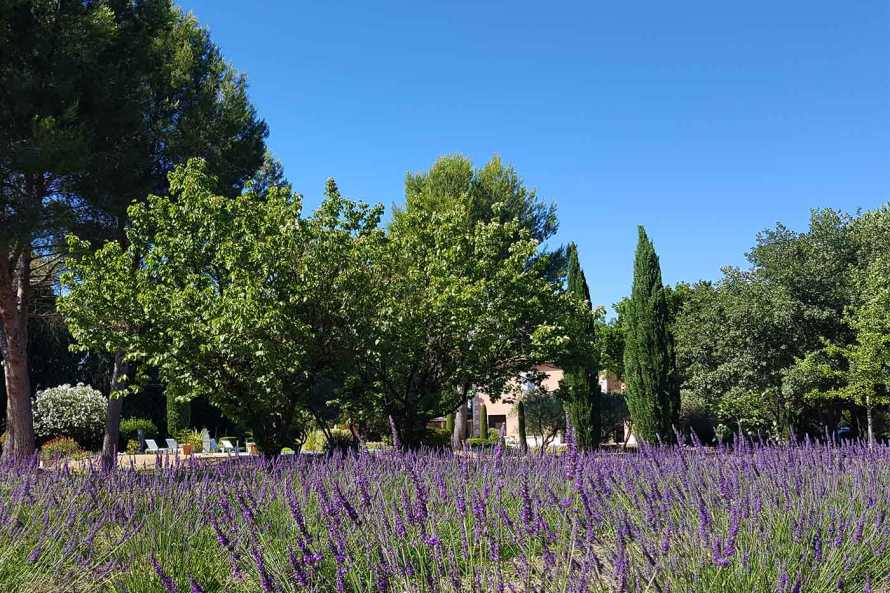 LE CLOS DES CYPRES
