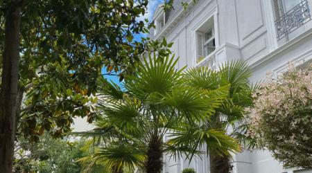 Villa Louisa