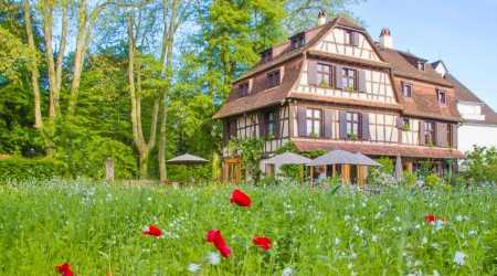 DU CÔTÉ DE CHEZ ANNE