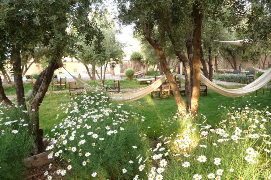 Les Jardins de Skoura