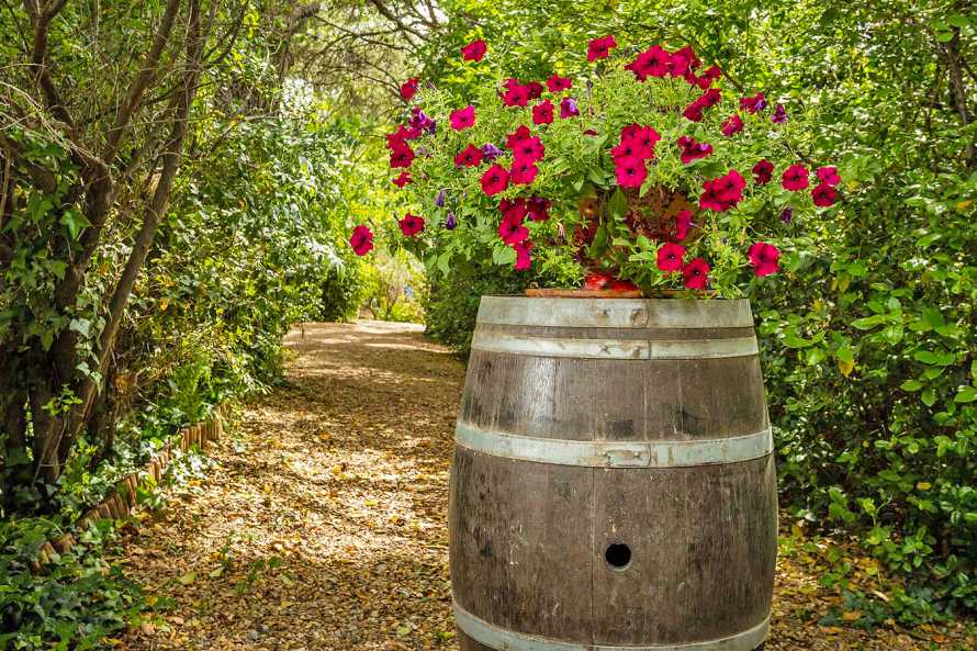 Clos de l'Herminier