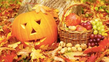 Fall
