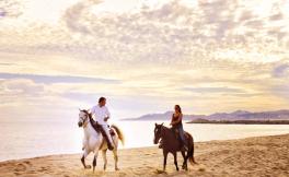 Horse Riding