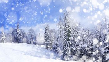 Winter
