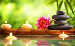 Relax & Wellness